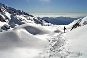 Dai boschi fioriti di Cornalba alle nevi dell鈥橝LBEN il 31 gennaio 2020- FOTOGALLERY